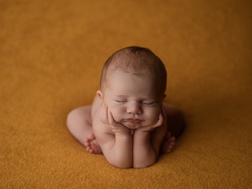 Newborn Rentable